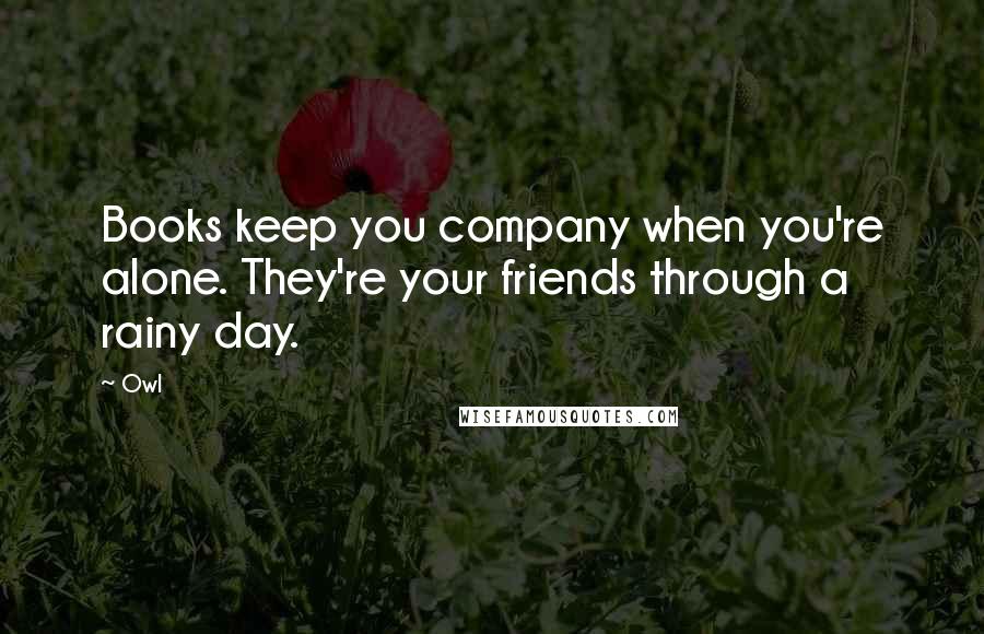 Owl Quotes: Books keep you company when you're alone. They're your friends through a rainy day.