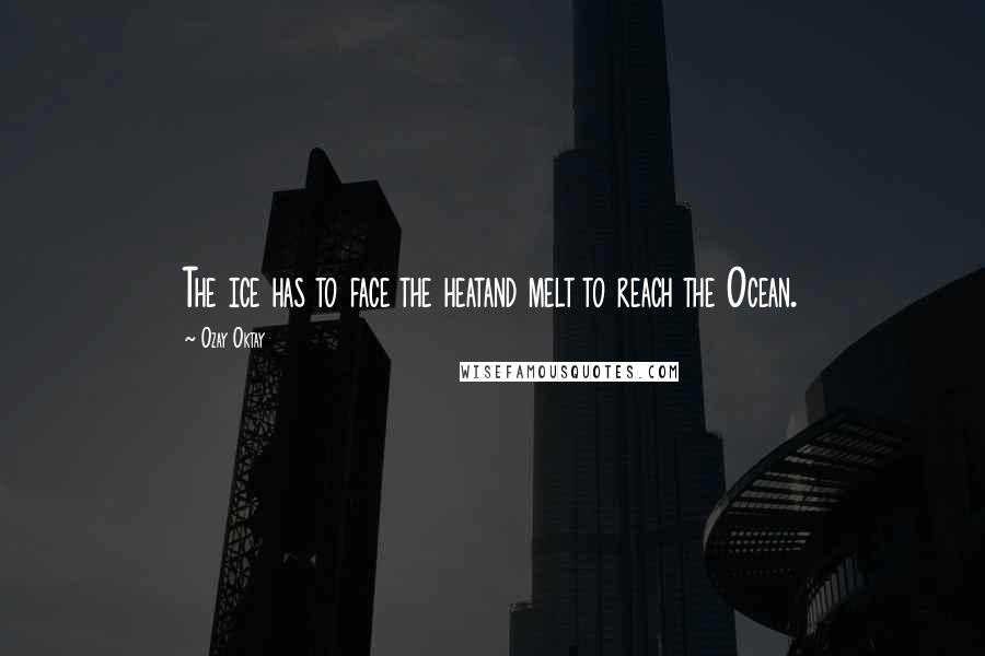 Ozay Oktay Quotes: The ice has to face the heatand melt to reach the Ocean.
