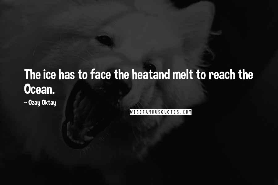 Ozay Oktay Quotes: The ice has to face the heatand melt to reach the Ocean.