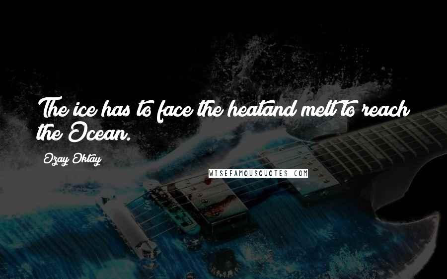 Ozay Oktay Quotes: The ice has to face the heatand melt to reach the Ocean.