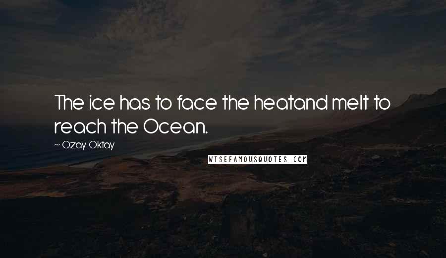 Ozay Oktay Quotes: The ice has to face the heatand melt to reach the Ocean.