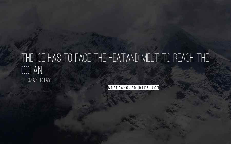 Ozay Oktay Quotes: The ice has to face the heatand melt to reach the Ocean.