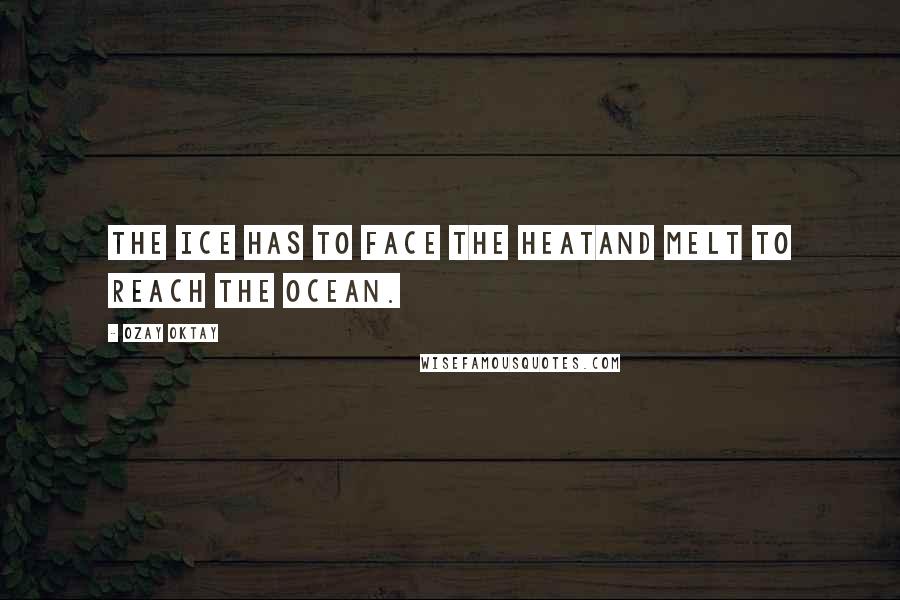 Ozay Oktay Quotes: The ice has to face the heatand melt to reach the Ocean.