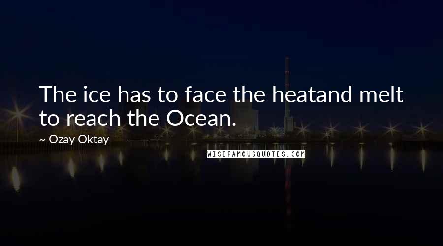 Ozay Oktay Quotes: The ice has to face the heatand melt to reach the Ocean.