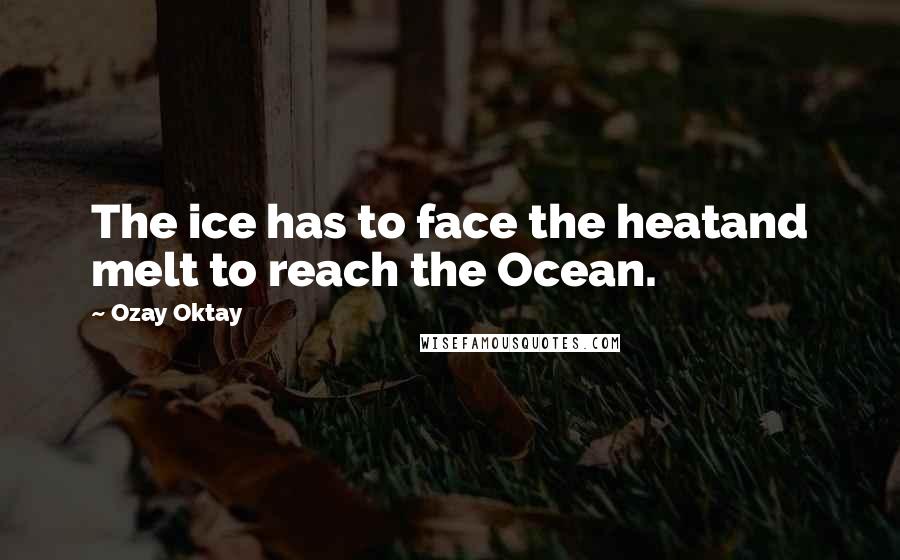 Ozay Oktay Quotes: The ice has to face the heatand melt to reach the Ocean.