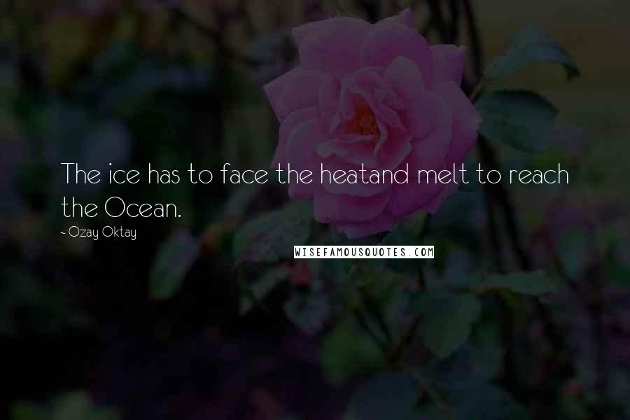 Ozay Oktay Quotes: The ice has to face the heatand melt to reach the Ocean.