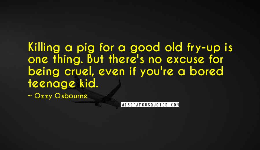 Ozzy Osbourne Quotes: Killing a pig for a good old fry-up is one thing. But there's no excuse for being cruel, even if you're a bored teenage kid.
