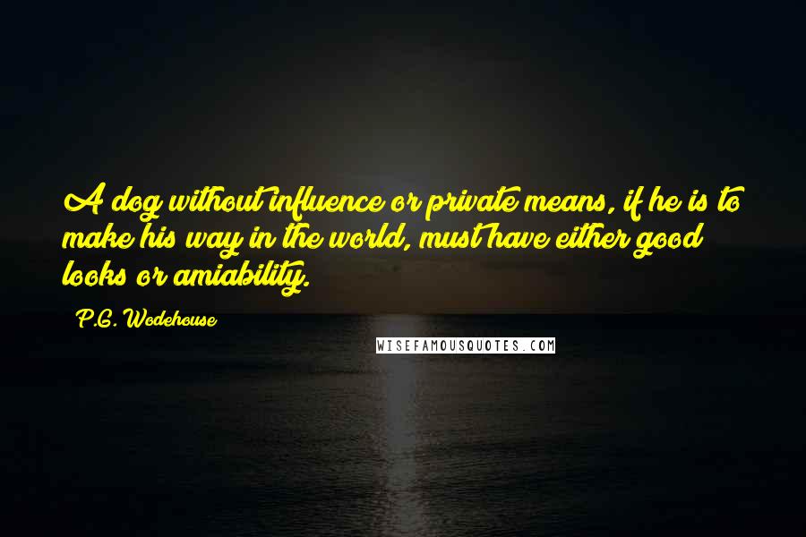 P.G. Wodehouse Quotes: A dog without influence or private means, if he is to make his way in the world, must have either good looks or amiability.