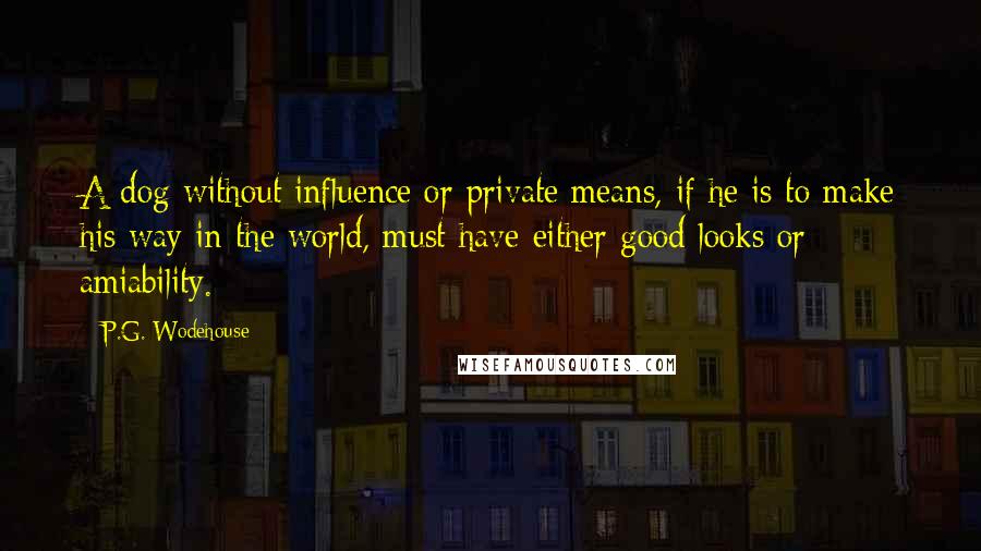 P.G. Wodehouse Quotes: A dog without influence or private means, if he is to make his way in the world, must have either good looks or amiability.