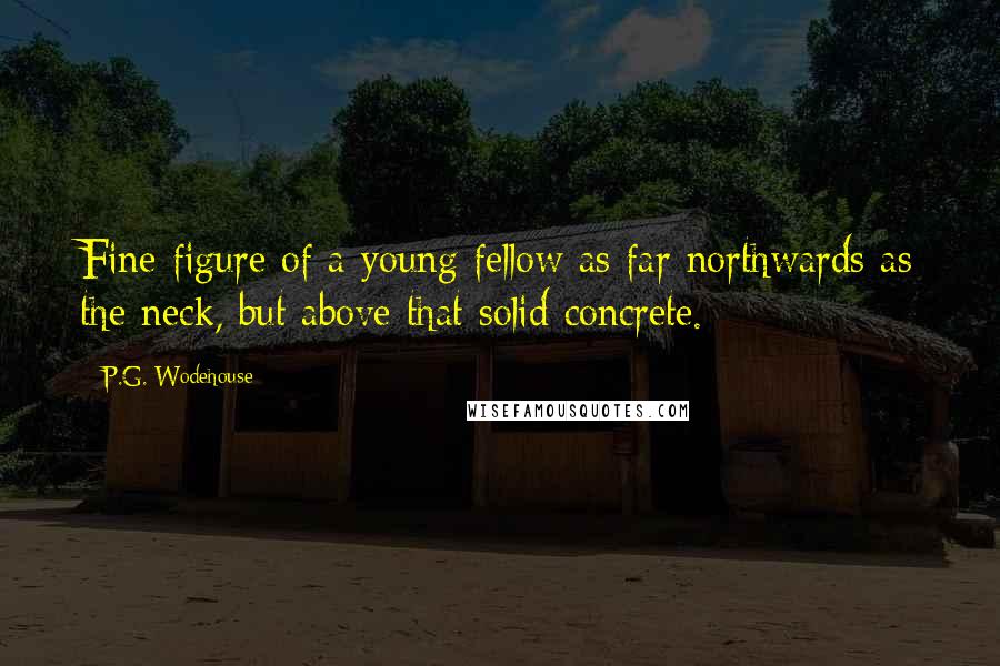P.G. Wodehouse Quotes: Fine figure of a young fellow as far northwards as the neck, but above that solid concrete.