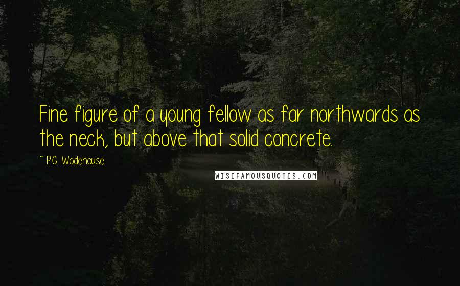 P.G. Wodehouse Quotes: Fine figure of a young fellow as far northwards as the neck, but above that solid concrete.