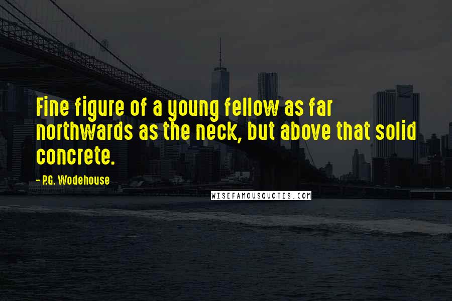 P.G. Wodehouse Quotes: Fine figure of a young fellow as far northwards as the neck, but above that solid concrete.