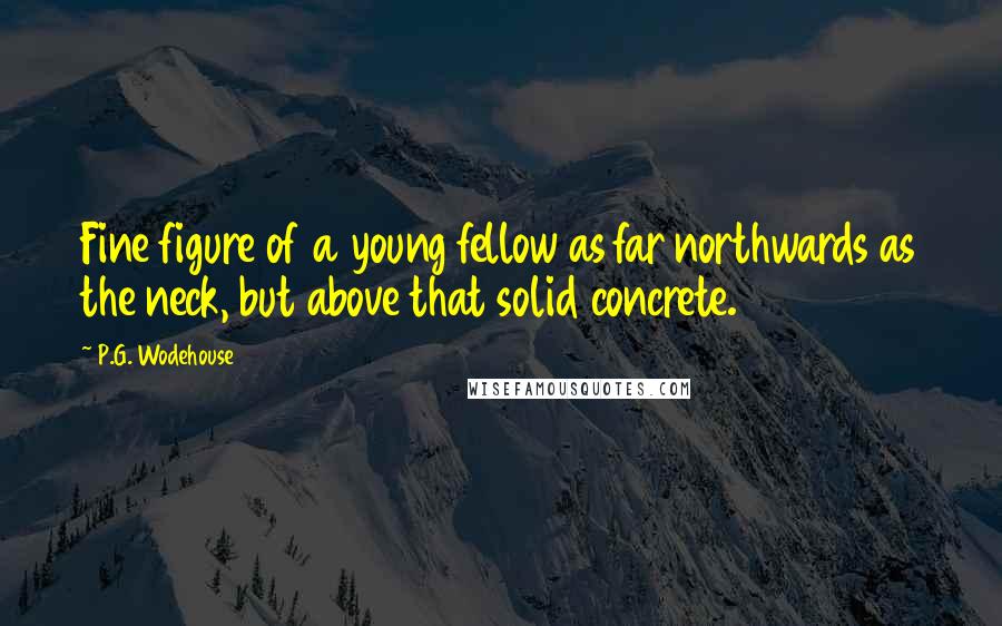P.G. Wodehouse Quotes: Fine figure of a young fellow as far northwards as the neck, but above that solid concrete.
