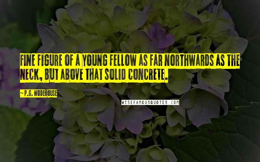 P.G. Wodehouse Quotes: Fine figure of a young fellow as far northwards as the neck, but above that solid concrete.