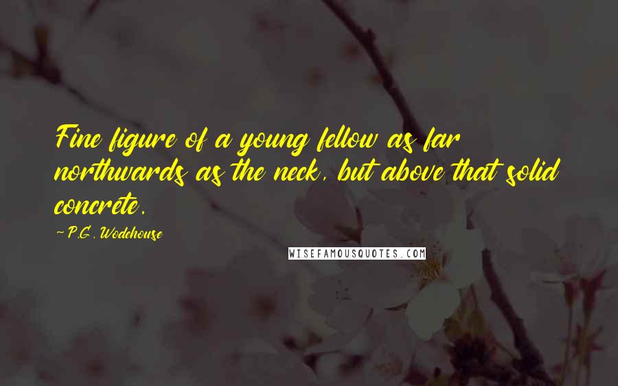 P.G. Wodehouse Quotes: Fine figure of a young fellow as far northwards as the neck, but above that solid concrete.