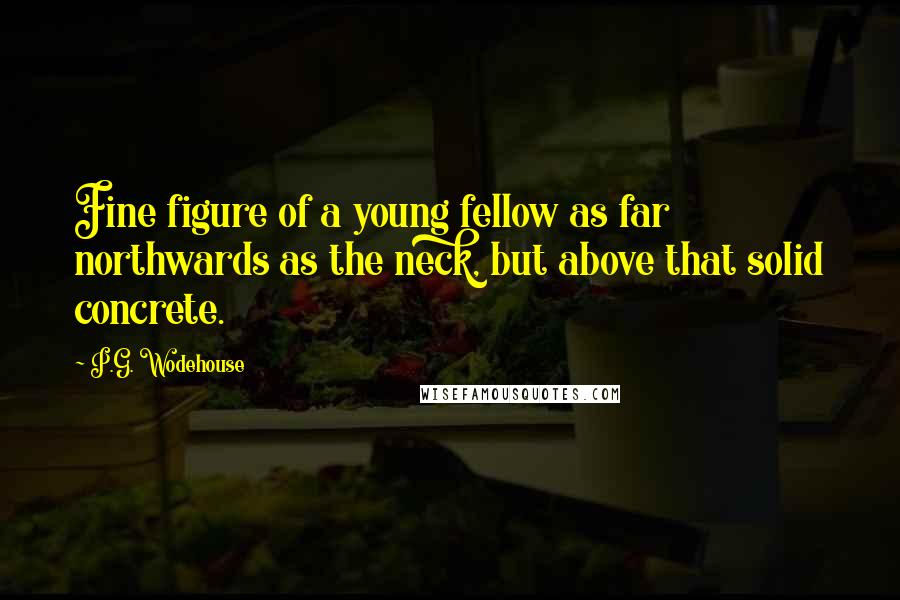 P.G. Wodehouse Quotes: Fine figure of a young fellow as far northwards as the neck, but above that solid concrete.