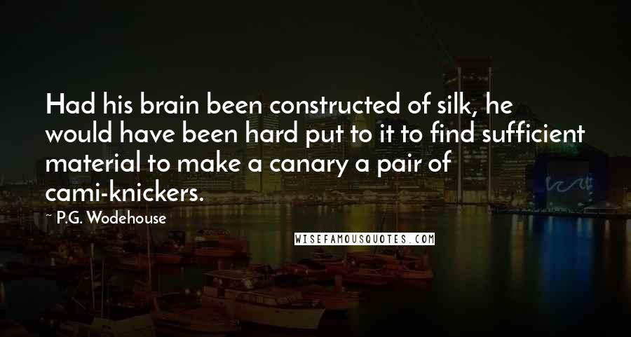 P.G. Wodehouse Quotes: Had his brain been constructed of silk, he would have been hard put to it to find sufficient material to make a canary a pair of cami-knickers.