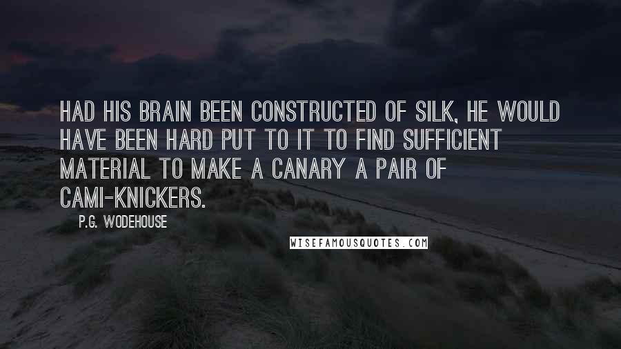 P.G. Wodehouse Quotes: Had his brain been constructed of silk, he would have been hard put to it to find sufficient material to make a canary a pair of cami-knickers.