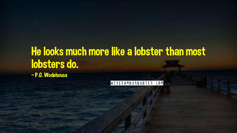 P.G. Wodehouse Quotes: He looks much more like a lobster than most lobsters do.