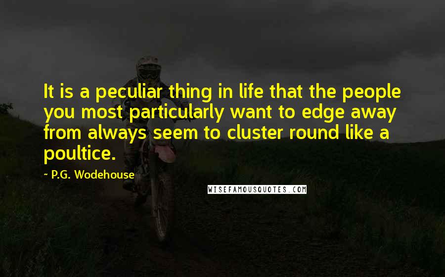 P.G. Wodehouse Quotes: It is a peculiar thing in life that the people you most particularly want to edge away from always seem to cluster round like a poultice.