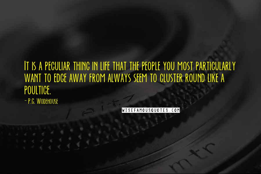 P.G. Wodehouse Quotes: It is a peculiar thing in life that the people you most particularly want to edge away from always seem to cluster round like a poultice.