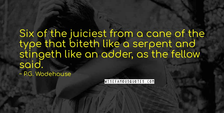 P.G. Wodehouse Quotes: Six of the juiciest from a cane of the type that biteth like a serpent and stingeth like an adder, as the fellow said.