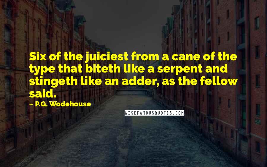 P.G. Wodehouse Quotes: Six of the juiciest from a cane of the type that biteth like a serpent and stingeth like an adder, as the fellow said.