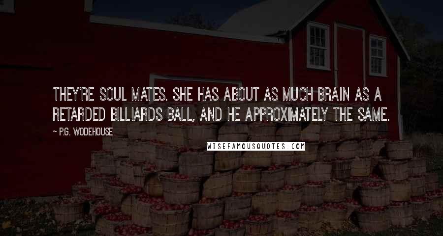 P.G. Wodehouse Quotes: They're soul mates. She has about as much brain as a retarded billiards ball, and he approximately the same.