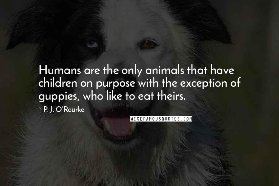 P. J. O'Rourke Quotes: Humans are the only animals that have children on purpose with the exception of guppies, who like to eat theirs.