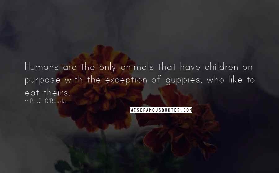 P. J. O'Rourke Quotes: Humans are the only animals that have children on purpose with the exception of guppies, who like to eat theirs.