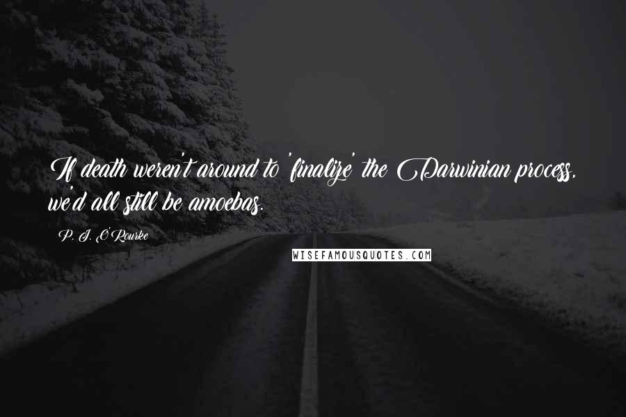 P. J. O'Rourke Quotes: If death weren't around to 'finalize' the Darwinian process, we'd all still be amoebas.