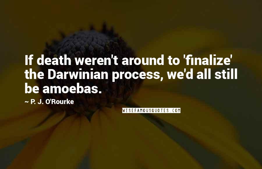 P. J. O'Rourke Quotes: If death weren't around to 'finalize' the Darwinian process, we'd all still be amoebas.