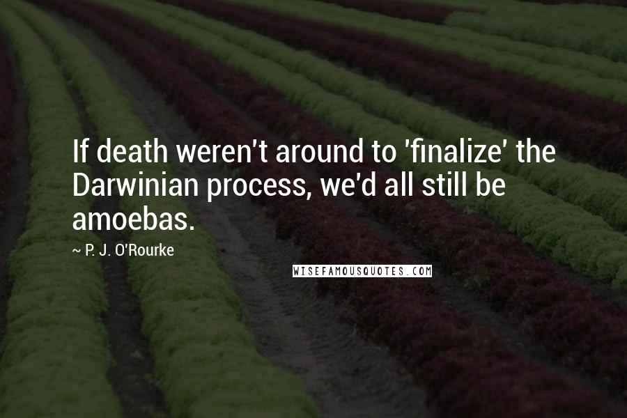 P. J. O'Rourke Quotes: If death weren't around to 'finalize' the Darwinian process, we'd all still be amoebas.