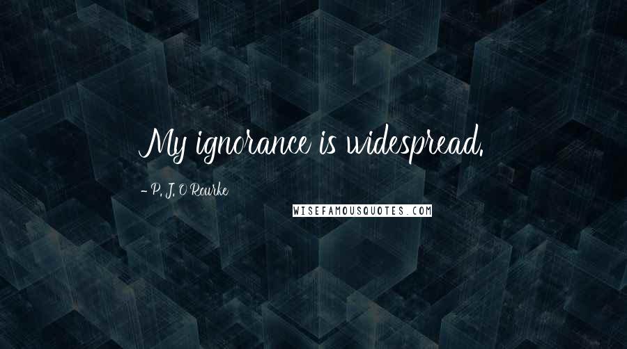 P. J. O'Rourke Quotes: My ignorance is widespread.