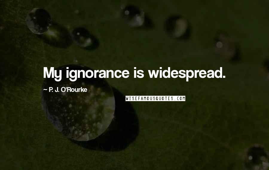 P. J. O'Rourke Quotes: My ignorance is widespread.