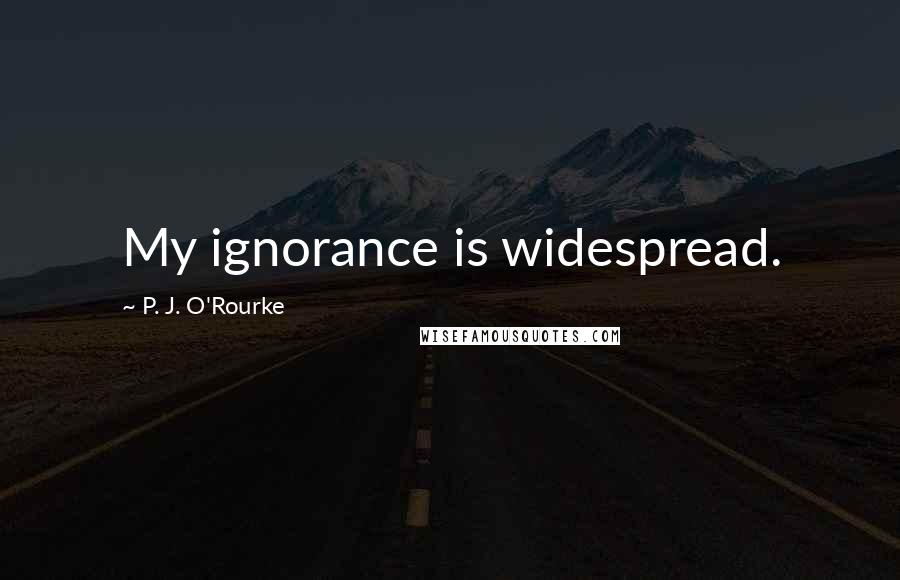 P. J. O'Rourke Quotes: My ignorance is widespread.