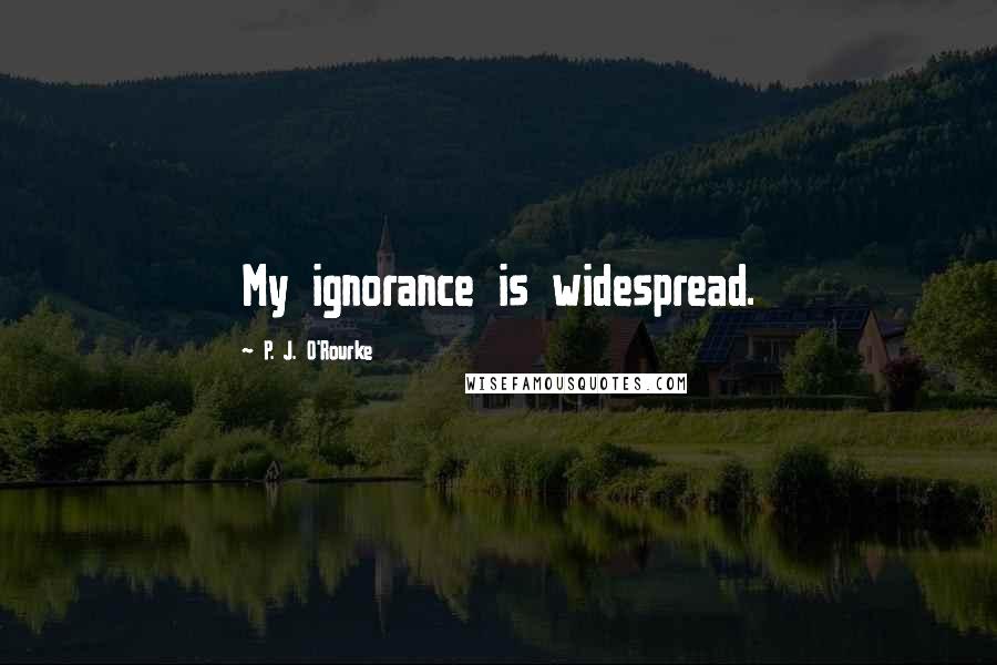 P. J. O'Rourke Quotes: My ignorance is widespread.