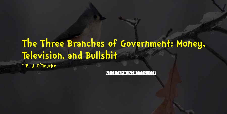 P. J. O'Rourke Quotes: The Three Branches of Government: Money, Television, and Bullshit