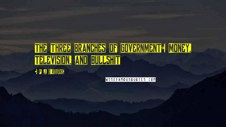 P. J. O'Rourke Quotes: The Three Branches of Government: Money, Television, and Bullshit
