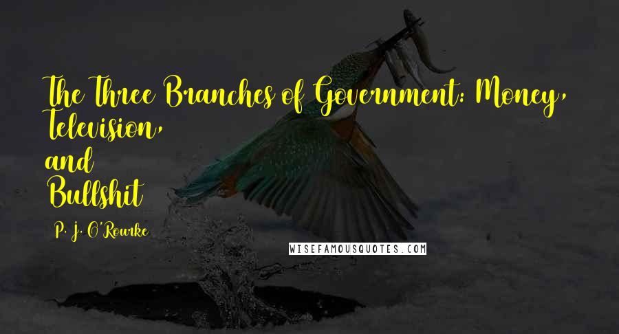 P. J. O'Rourke Quotes: The Three Branches of Government: Money, Television, and Bullshit