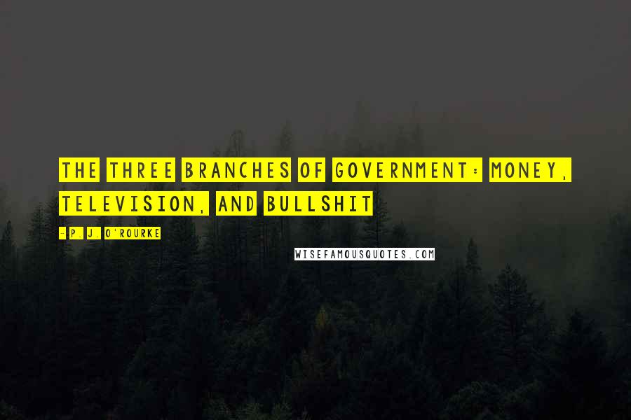 P. J. O'Rourke Quotes: The Three Branches of Government: Money, Television, and Bullshit