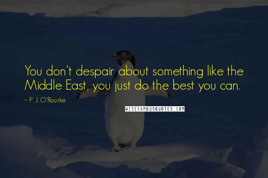 P. J. O'Rourke Quotes: You don't despair about something like the Middle East, you just do the best you can.