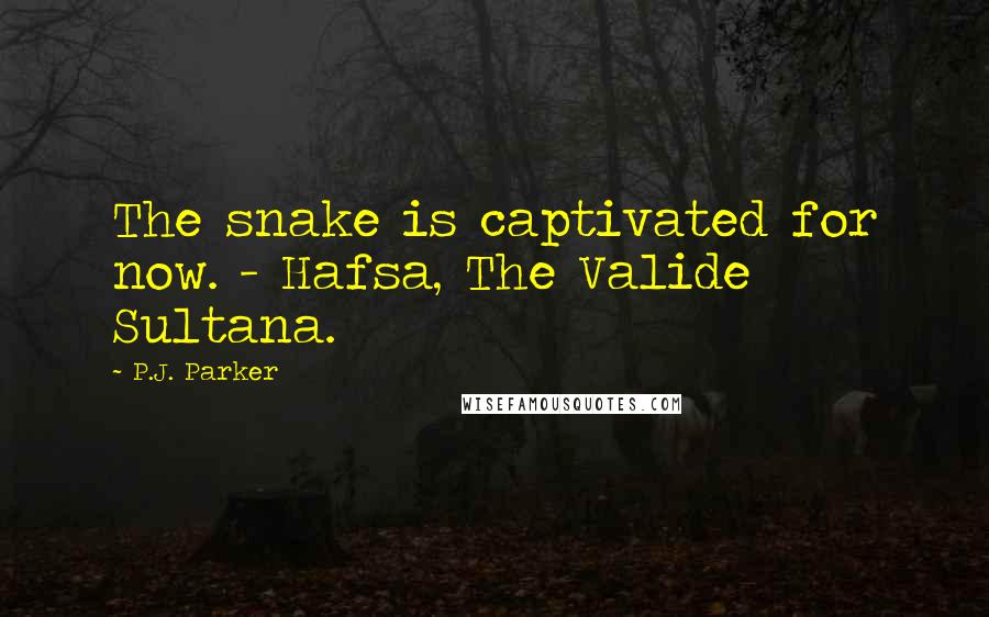 P.J. Parker Quotes: The snake is captivated for now. - Hafsa, The Valide Sultana.