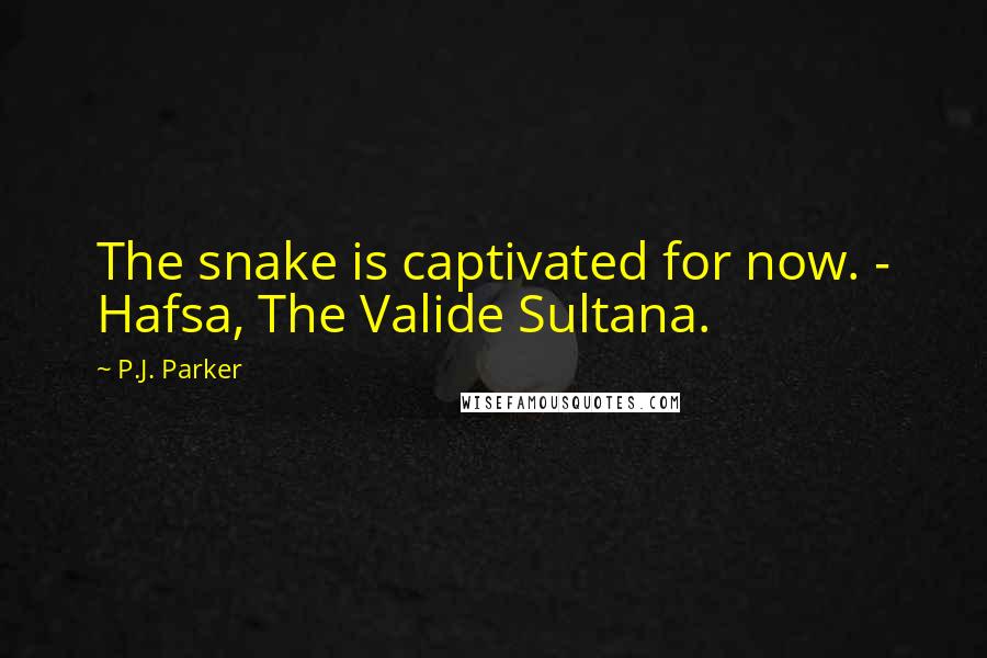 P.J. Parker Quotes: The snake is captivated for now. - Hafsa, The Valide Sultana.