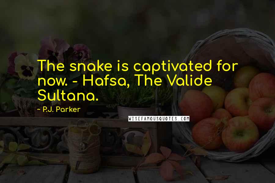 P.J. Parker Quotes: The snake is captivated for now. - Hafsa, The Valide Sultana.