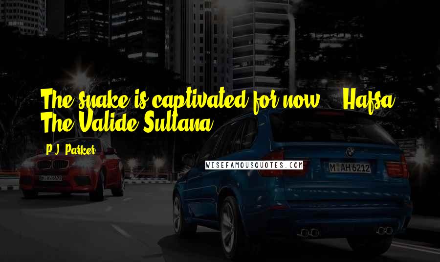 P.J. Parker Quotes: The snake is captivated for now. - Hafsa, The Valide Sultana.