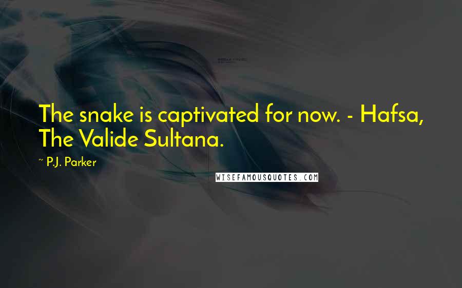 P.J. Parker Quotes: The snake is captivated for now. - Hafsa, The Valide Sultana.