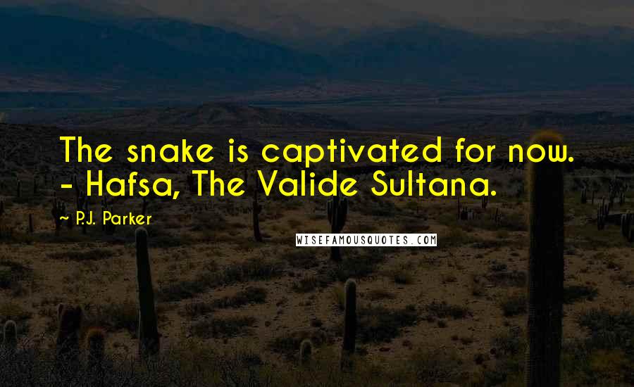 P.J. Parker Quotes: The snake is captivated for now. - Hafsa, The Valide Sultana.