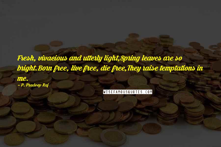 P. Pradeep Raj Quotes: Fresh, vivacious and utterly light,Spring leaves are so bright.Born free, live free, die free,They raise temptations in me.