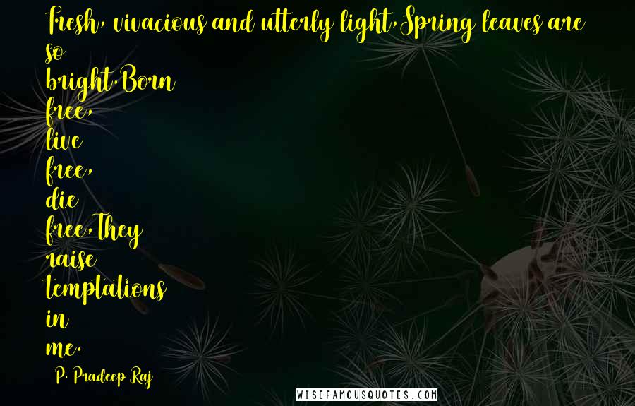 P. Pradeep Raj Quotes: Fresh, vivacious and utterly light,Spring leaves are so bright.Born free, live free, die free,They raise temptations in me.